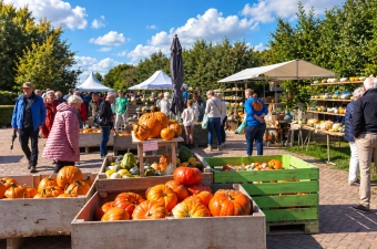 Vinoworld op de Pompoenfair 2026